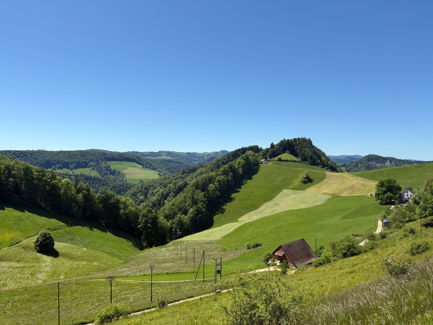IMG_7628
