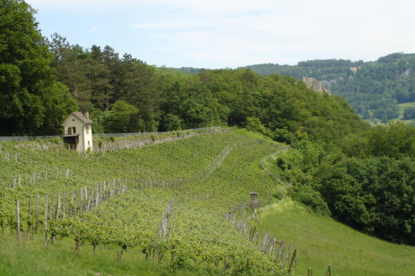 Zwei Burgen und ein Kräutergarten