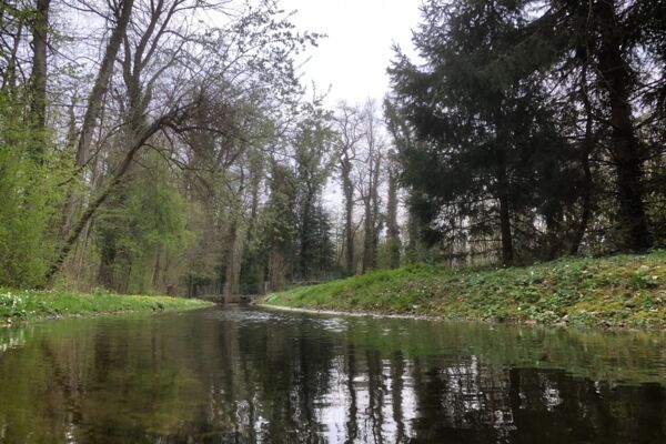 Wasser und Salz