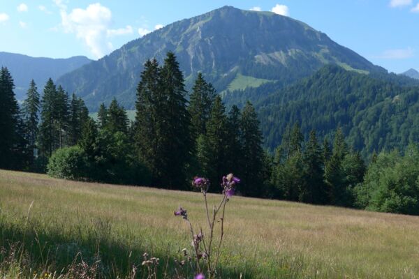 Entlebuch