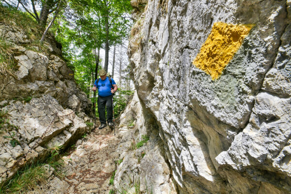 Geologie rund um den Hirnichopf