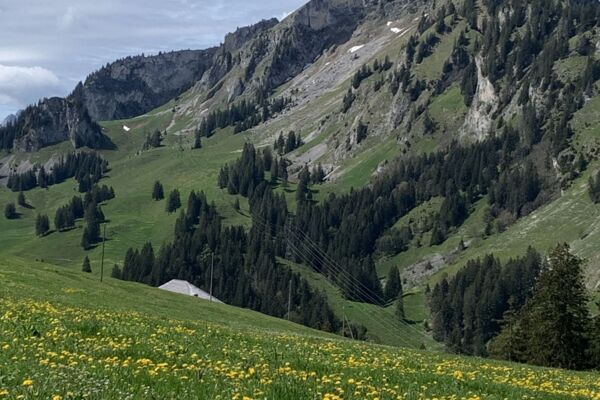Breccaschlund