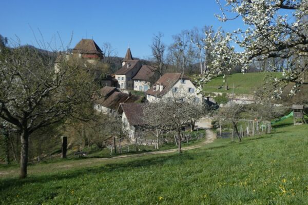 Wildenstein und Rifenstein