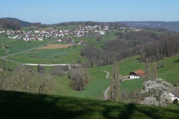 Wildenstein und Rifenstein