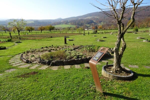 Zwei Burgen und ein Kräutergarten