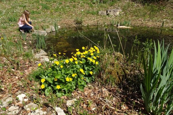 Tännligarten ein Spielplatz für die ganze Familie