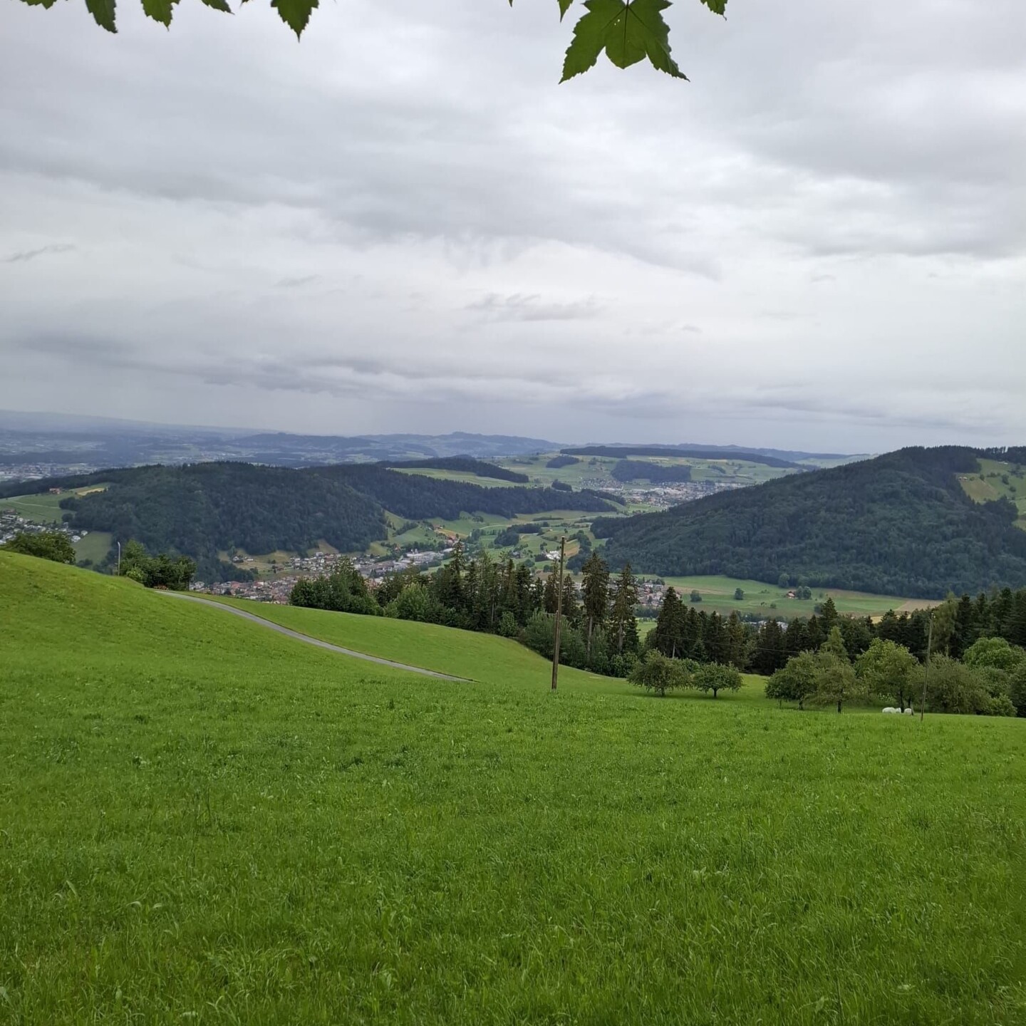 Blick Richtung Emmental