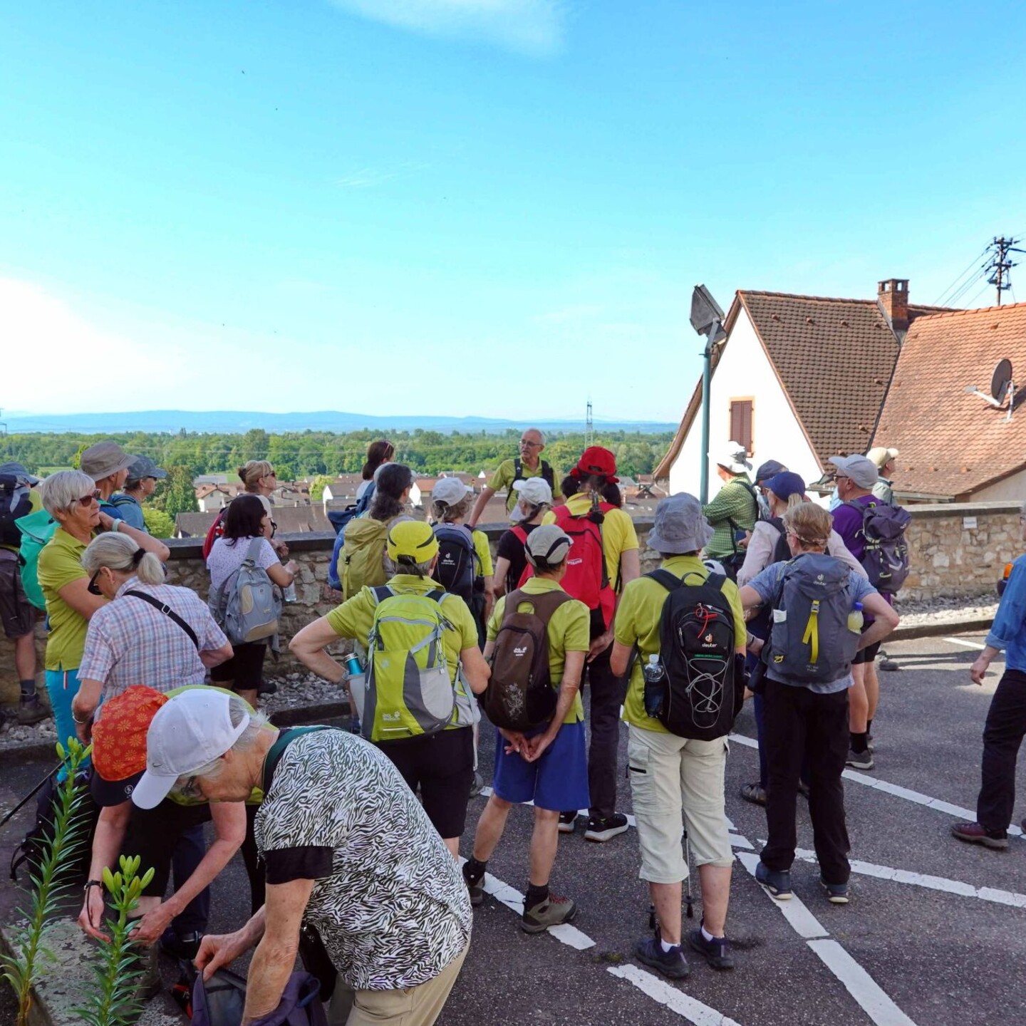 WwbB_2026-05-31_01_Istein-Eimeldingen