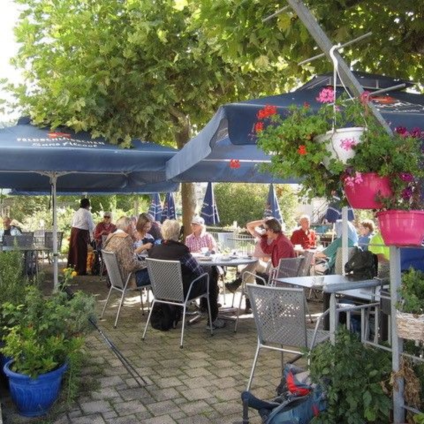 De Vries Maisprach2