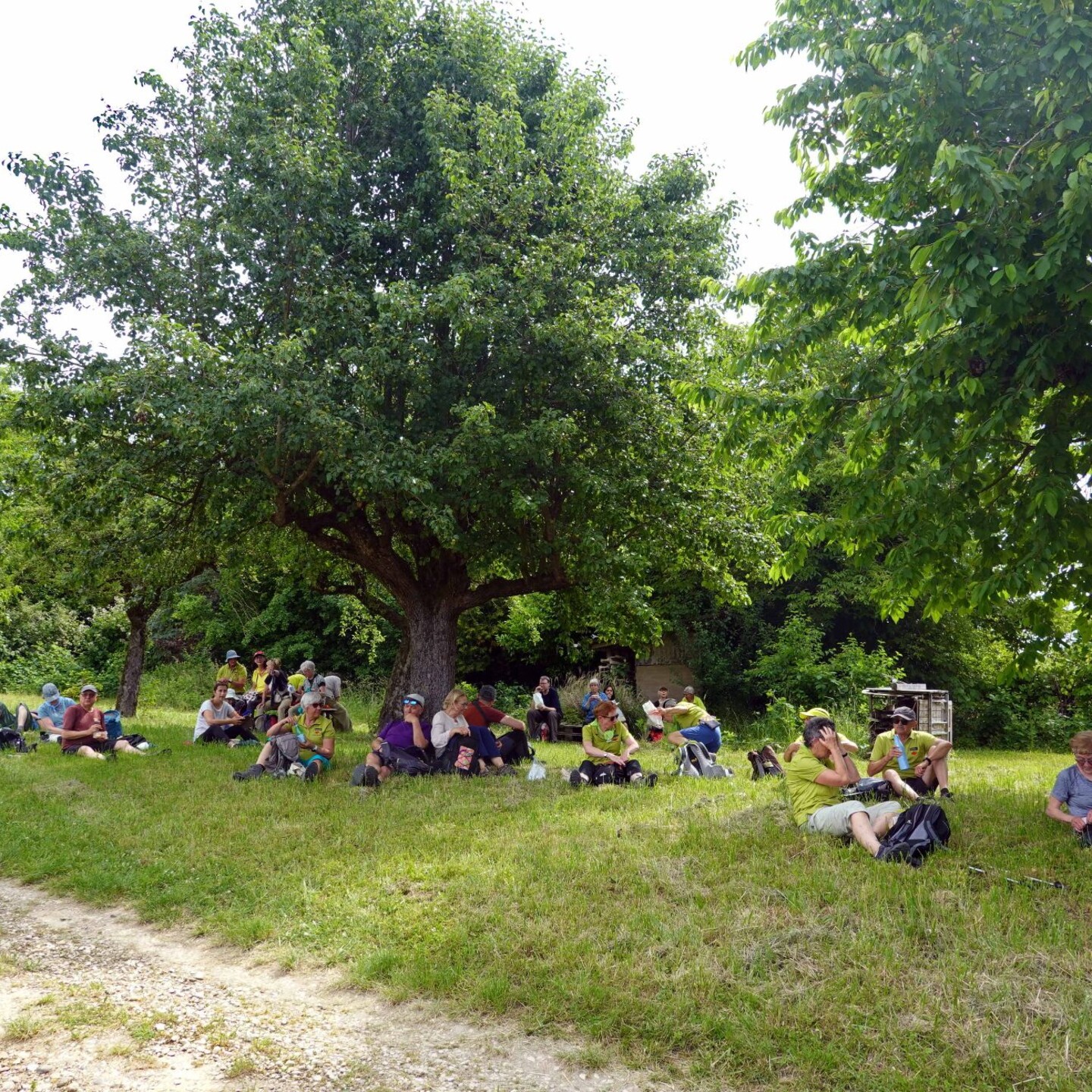 WwbB_2026-05-31_18_Istein-Eimeldingen