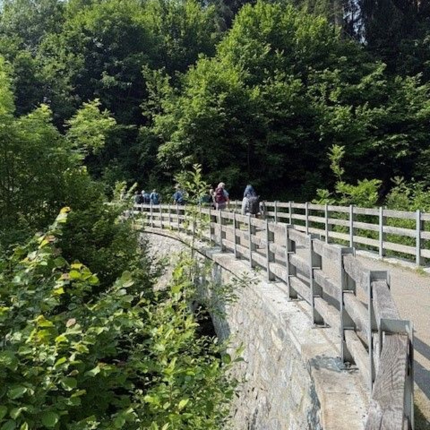 Rheinschlucht13