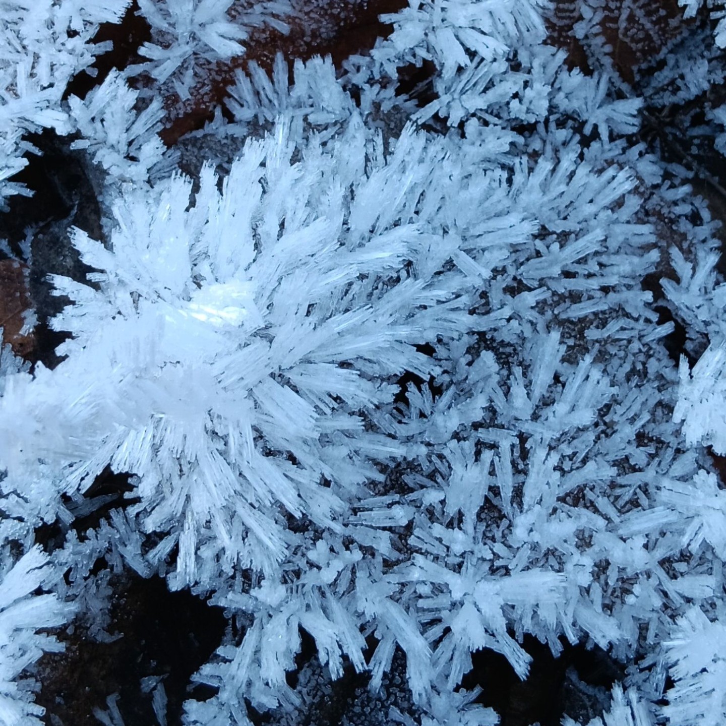 20241201_122647
