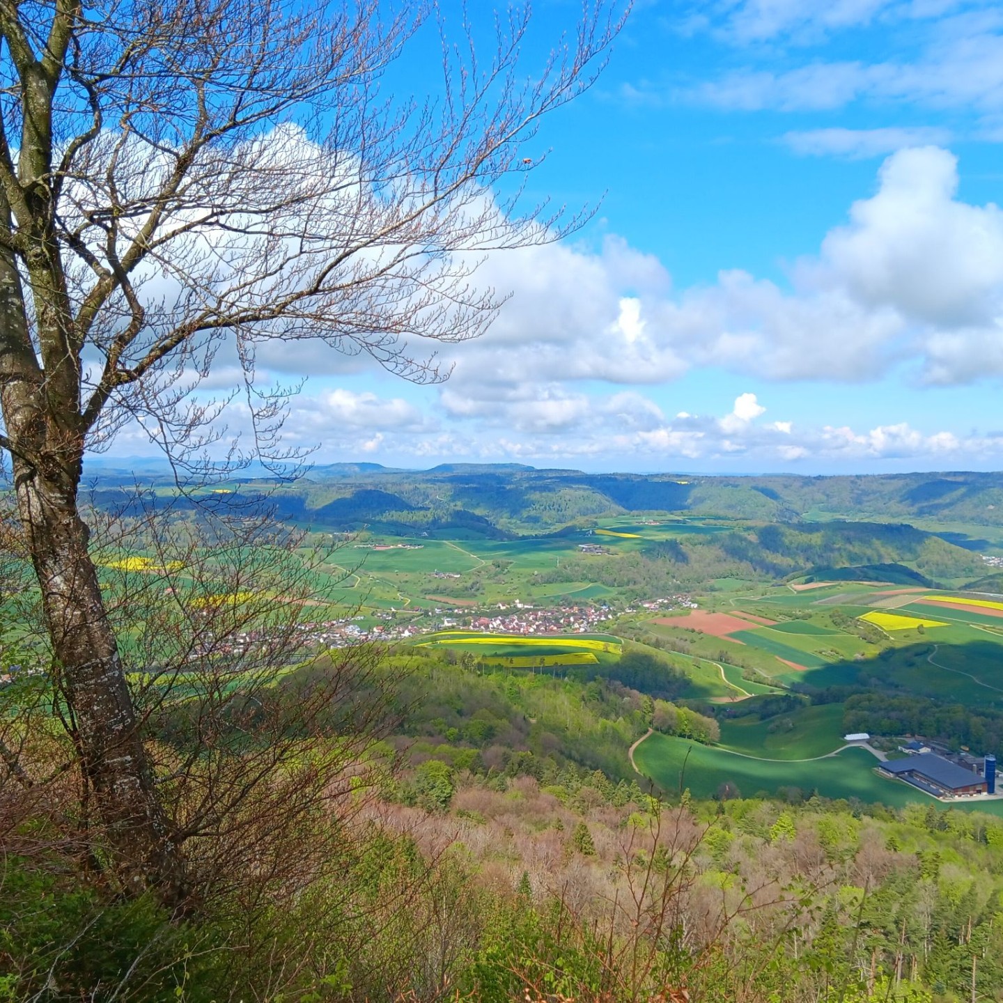 Strihe_7_5_25