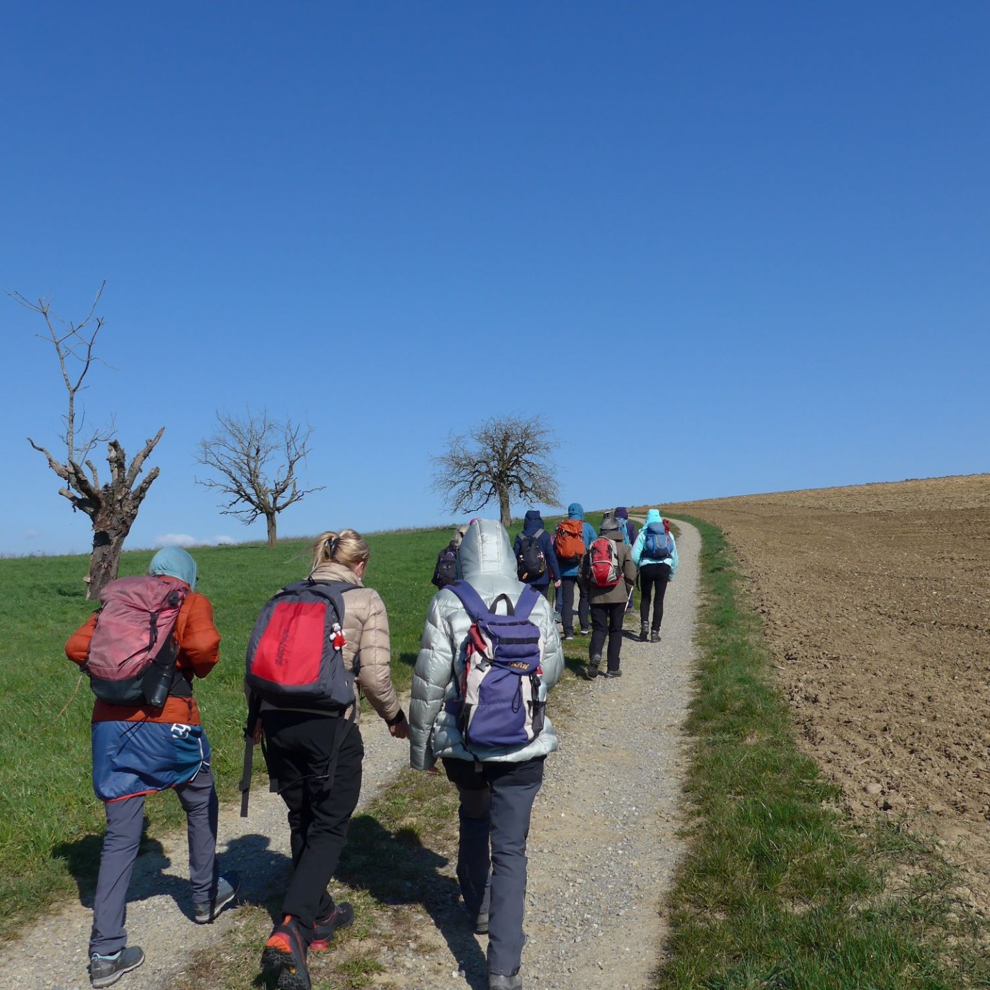 04_Auf dem Buchberg