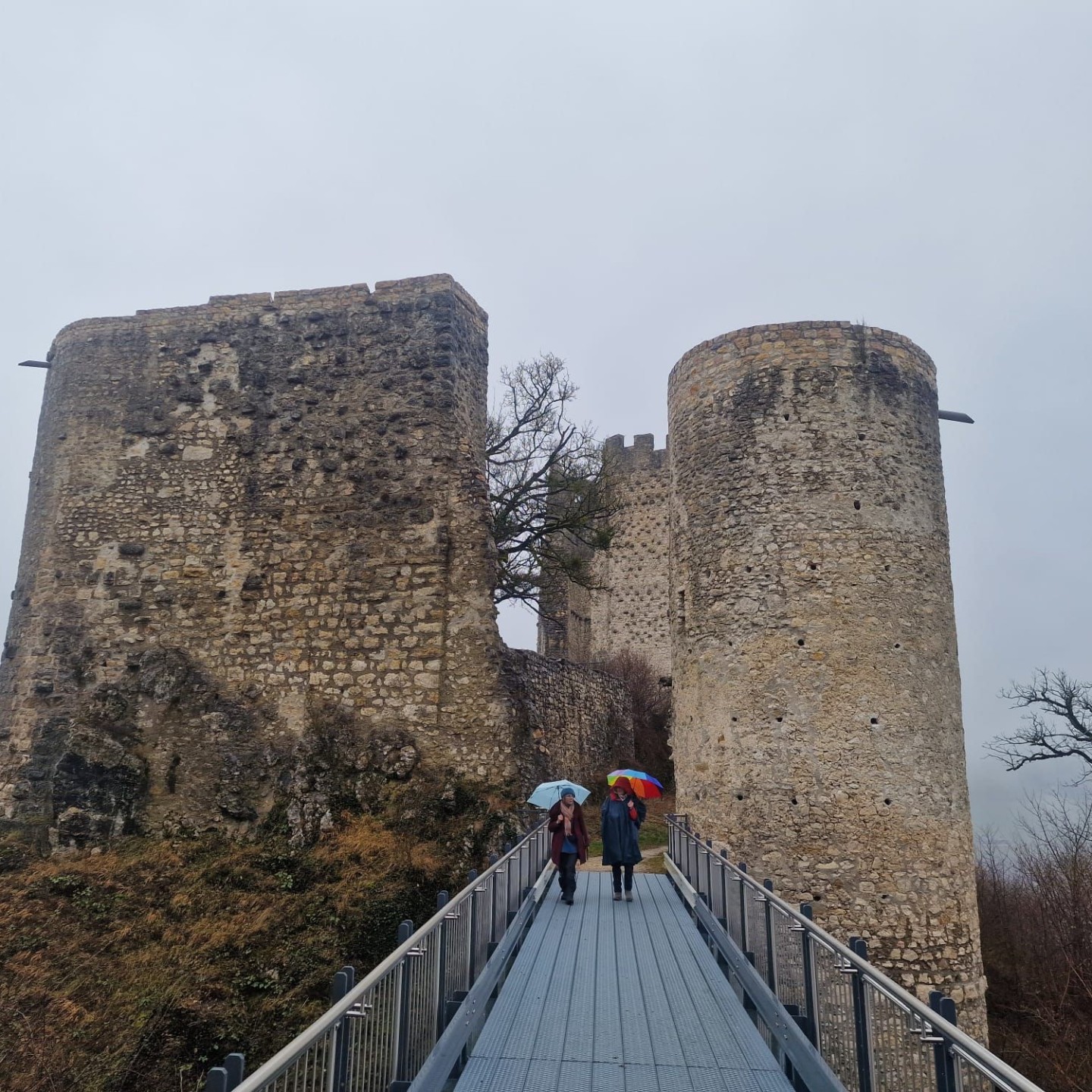 IMG-20260128-WA0006