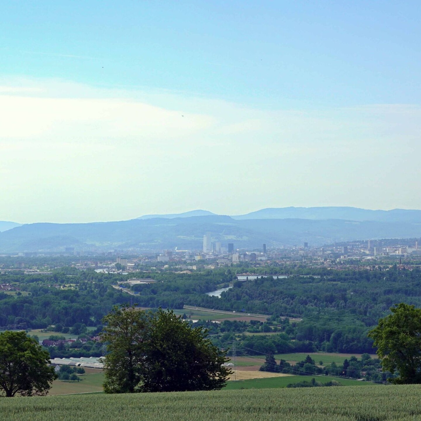 WwbB_2026-05-31_16_Istein-Eimeldingen