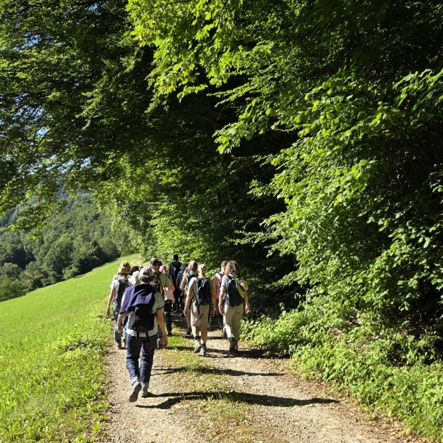 Wandertreffen AG SO BS BL