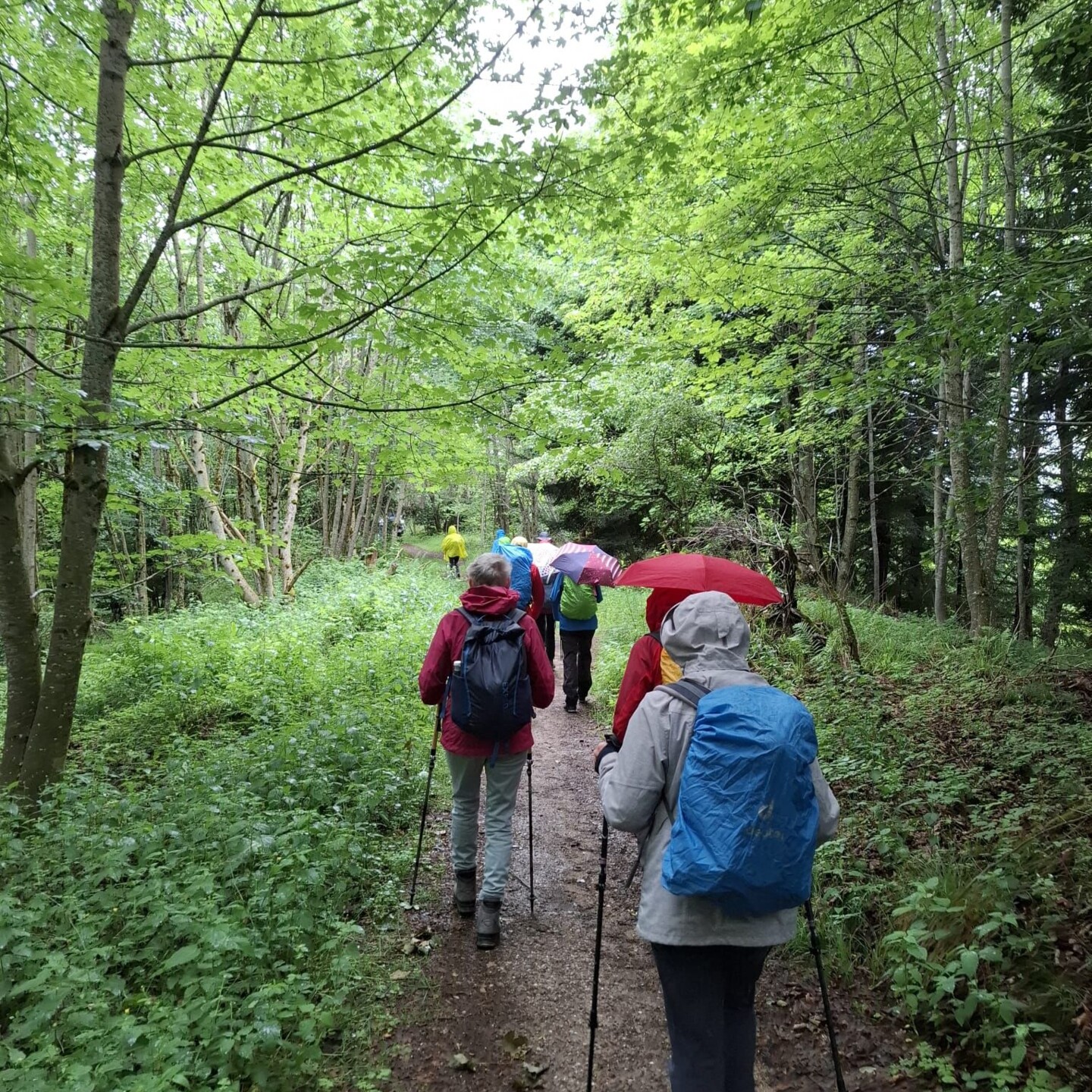 Wandernde im Regenschauer