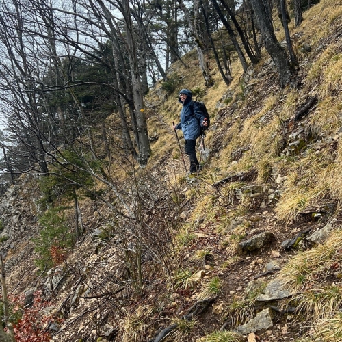 Rehhag