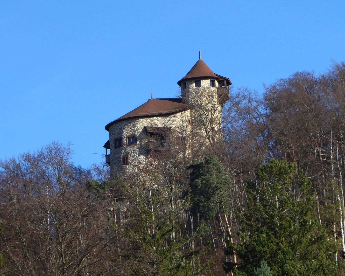 Burg Reichenstein