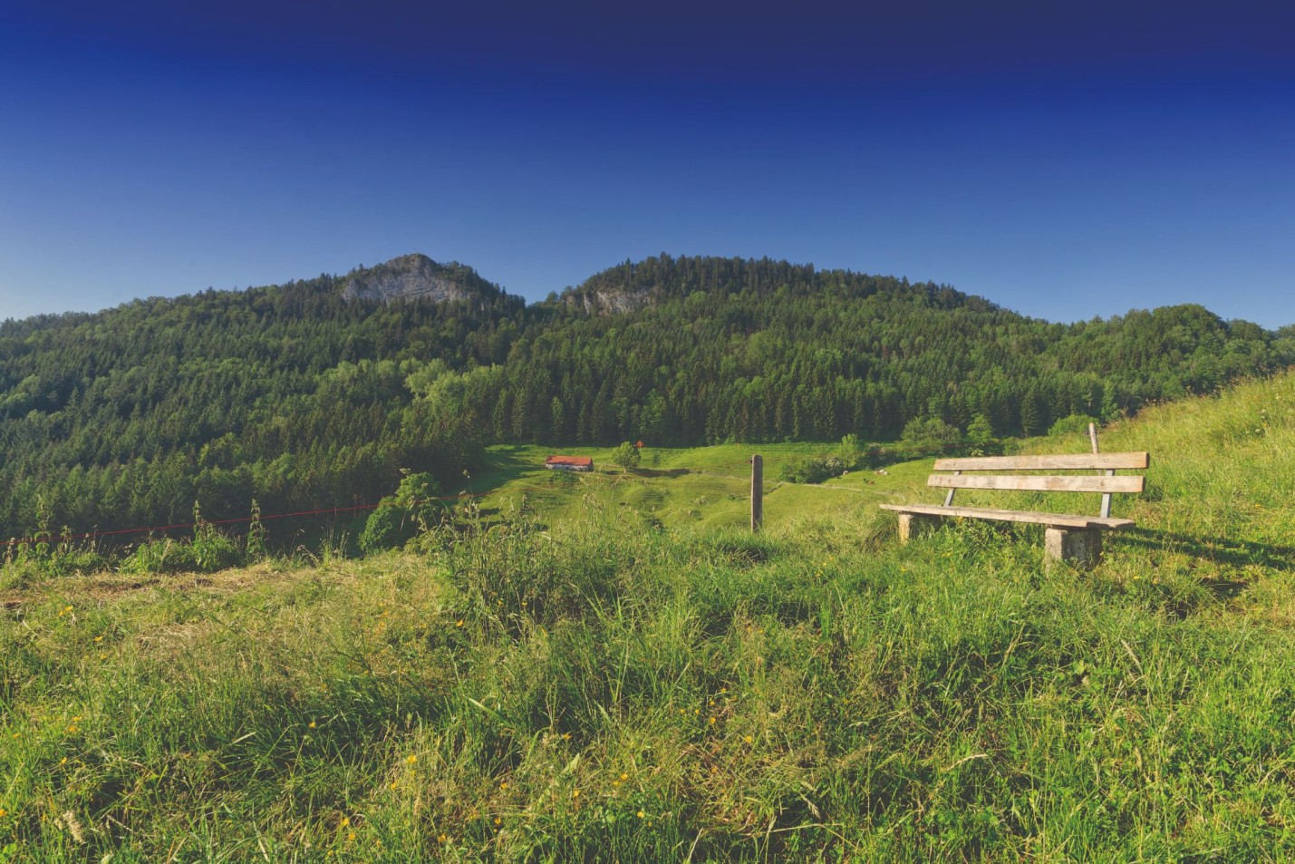 Quellgebiet in Eptingen_Blick auf Belchenfluh