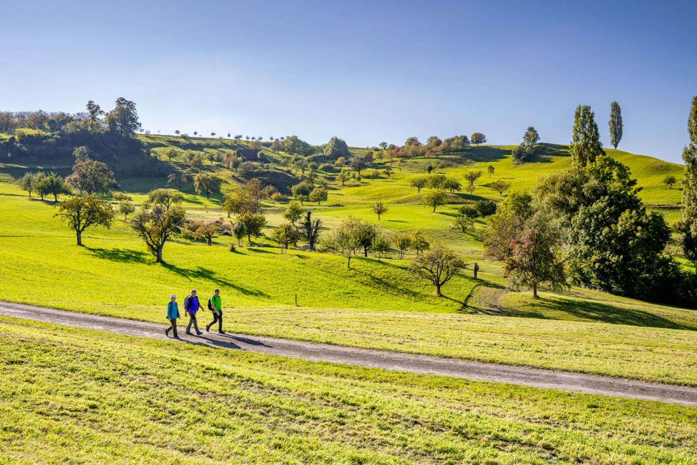 Titterten-Arboldswil-HD-2782