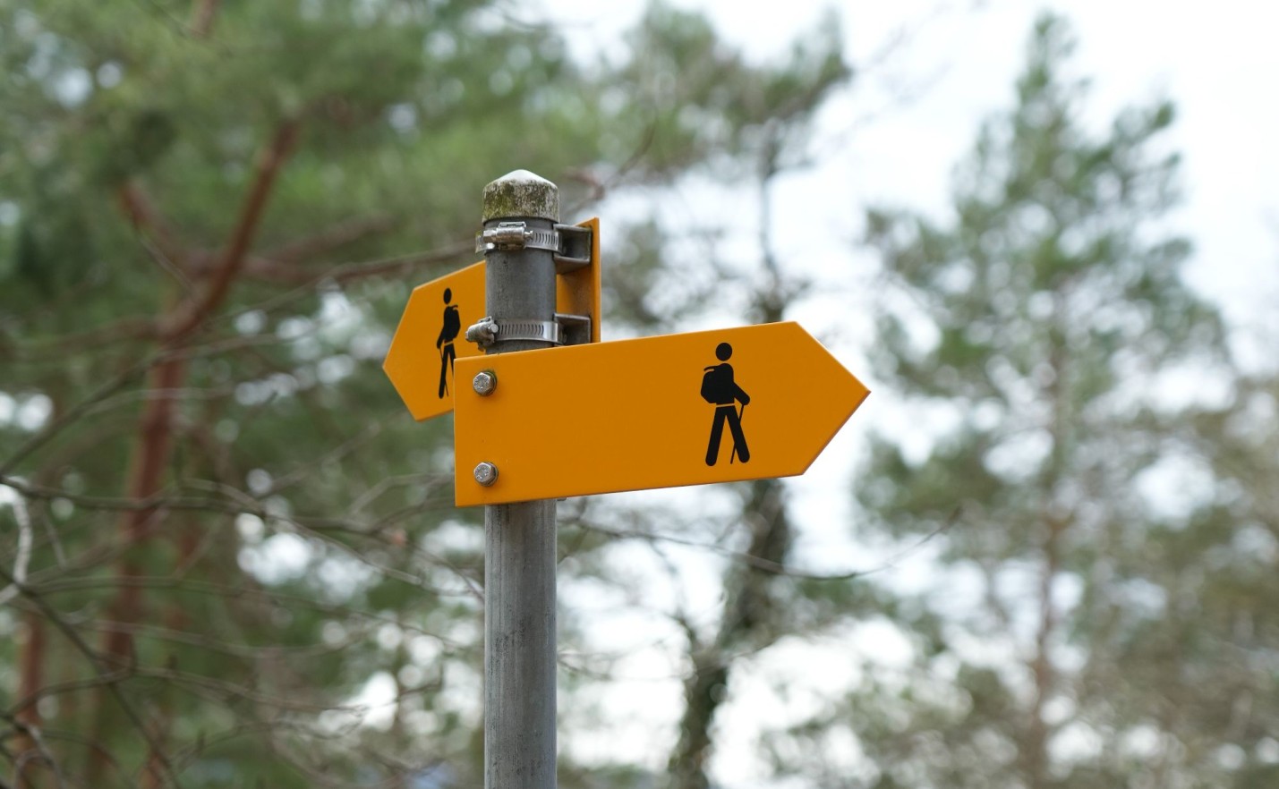 Wegweiser mit Wanderer