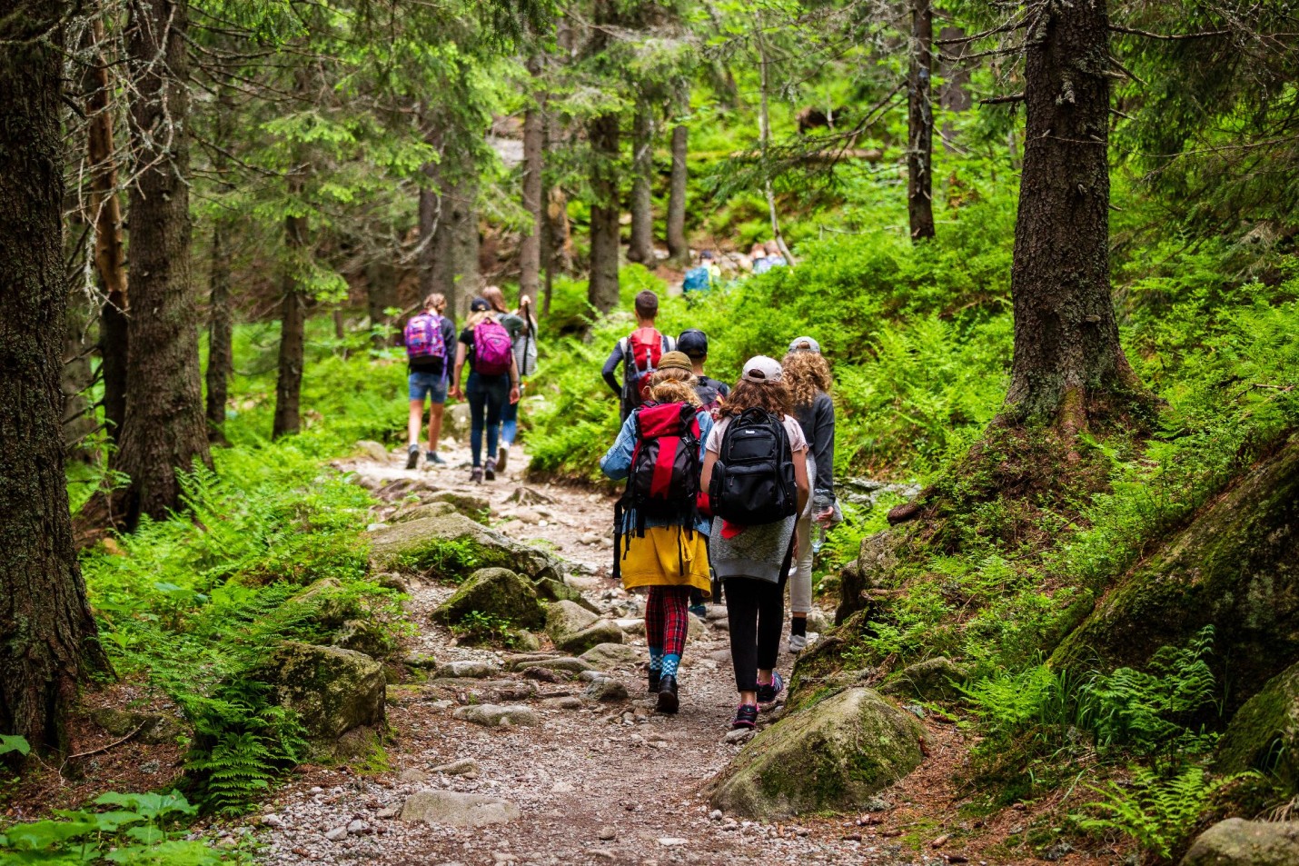 Wandern mit Kindern