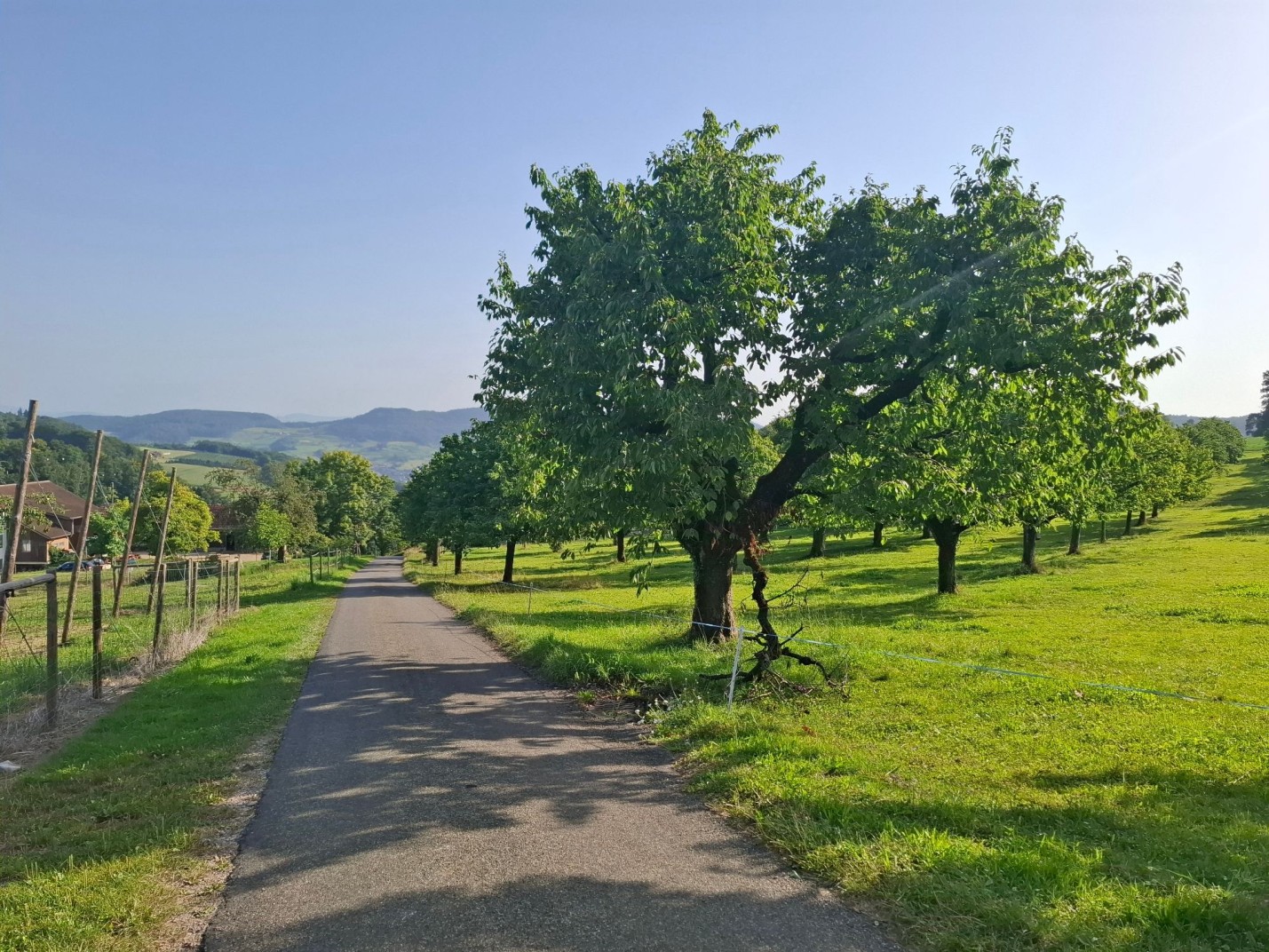 Zunzgerberg2