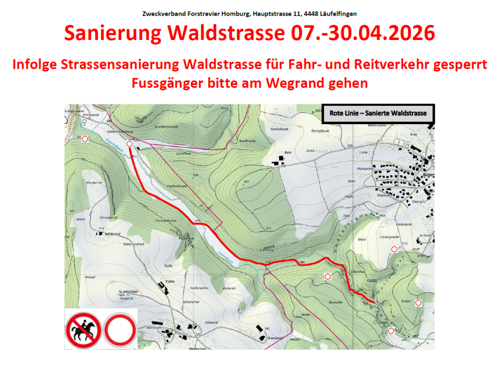 Sanierung-Waldstrasse