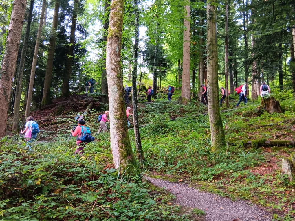 1-Gleich zu Beginn der steile Aufstieg
