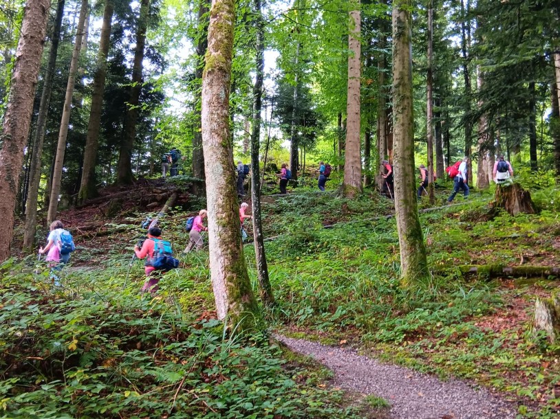 1-Gleich zu Beginn der steile Aufstieg