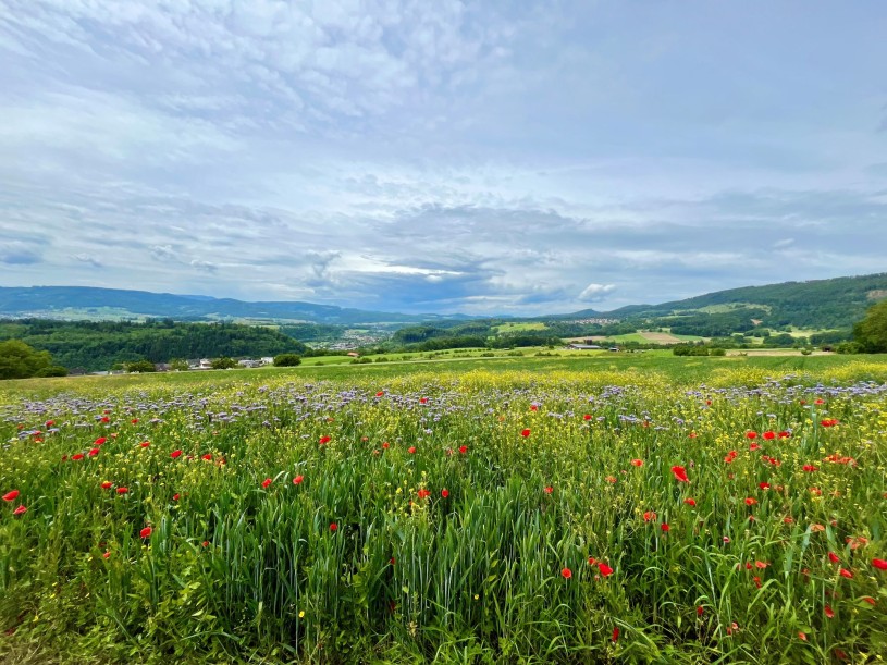 Fam-Wanderung-25-1