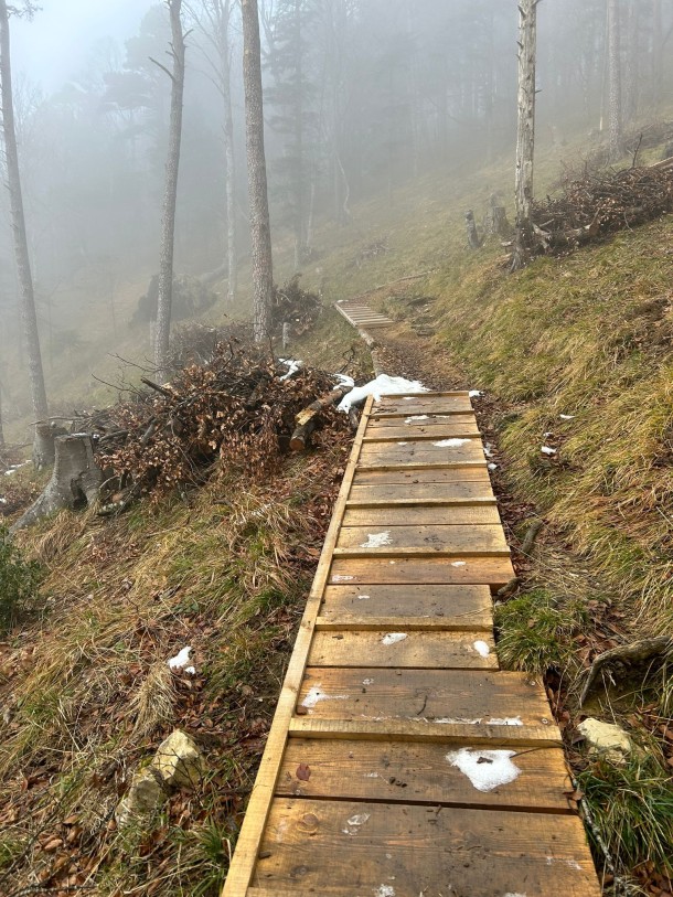 WhatsApp Image 2025-12-04 at 10