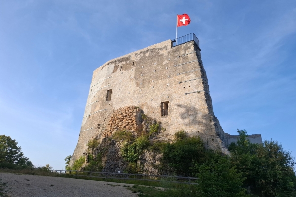 Familienwanderung - Ruine Farnsburg