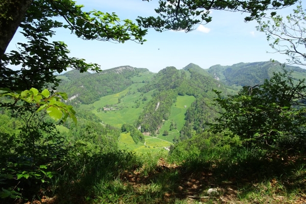 Hirnichopf und Hohrütigrat
