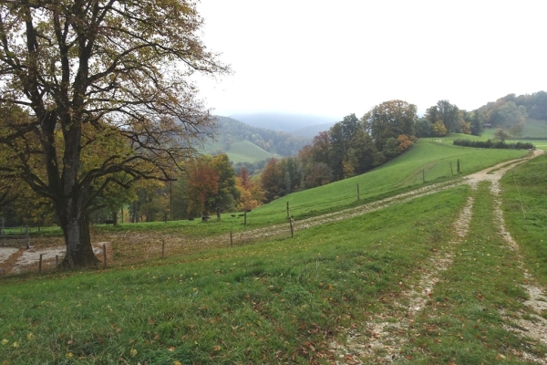 Geschichtsträchtiges und ein markanter Fluhweg