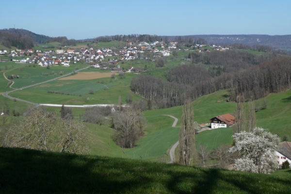 Wildenstein und Rifenstein