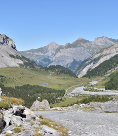 Über den Gemmi nach Sunnbüel