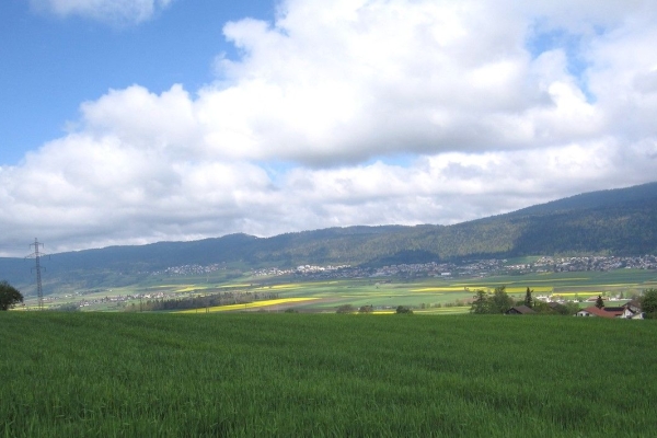 Neuenburg und Dürrenmatt