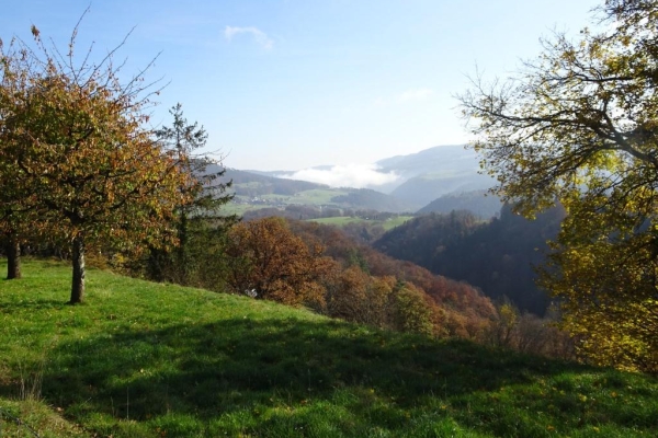Zwei Burgen und ein Kräutergarten