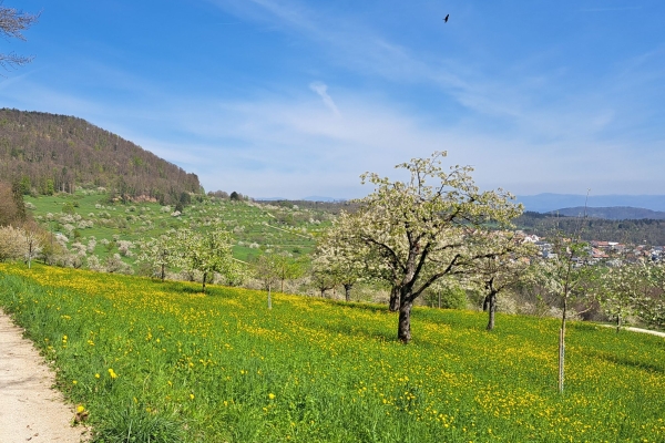 Blueschtwanderung Liestal - Stollenhäuser - Arlesheim