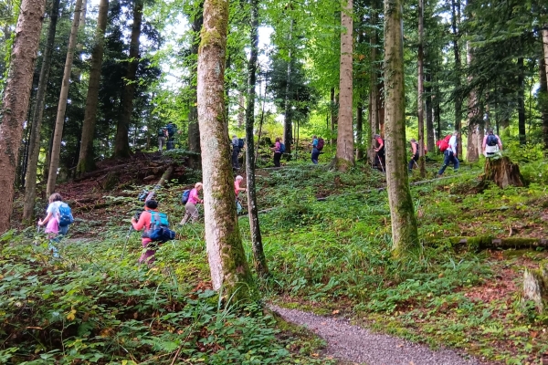 1-Gleich zu Beginn der steile Aufstieg