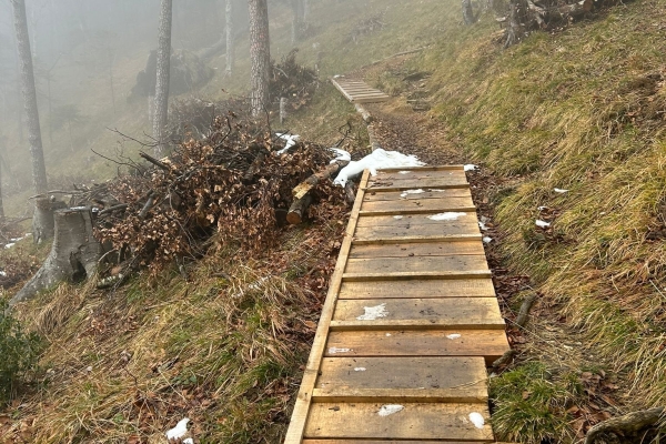 WhatsApp Image 2025-12-04 at 10