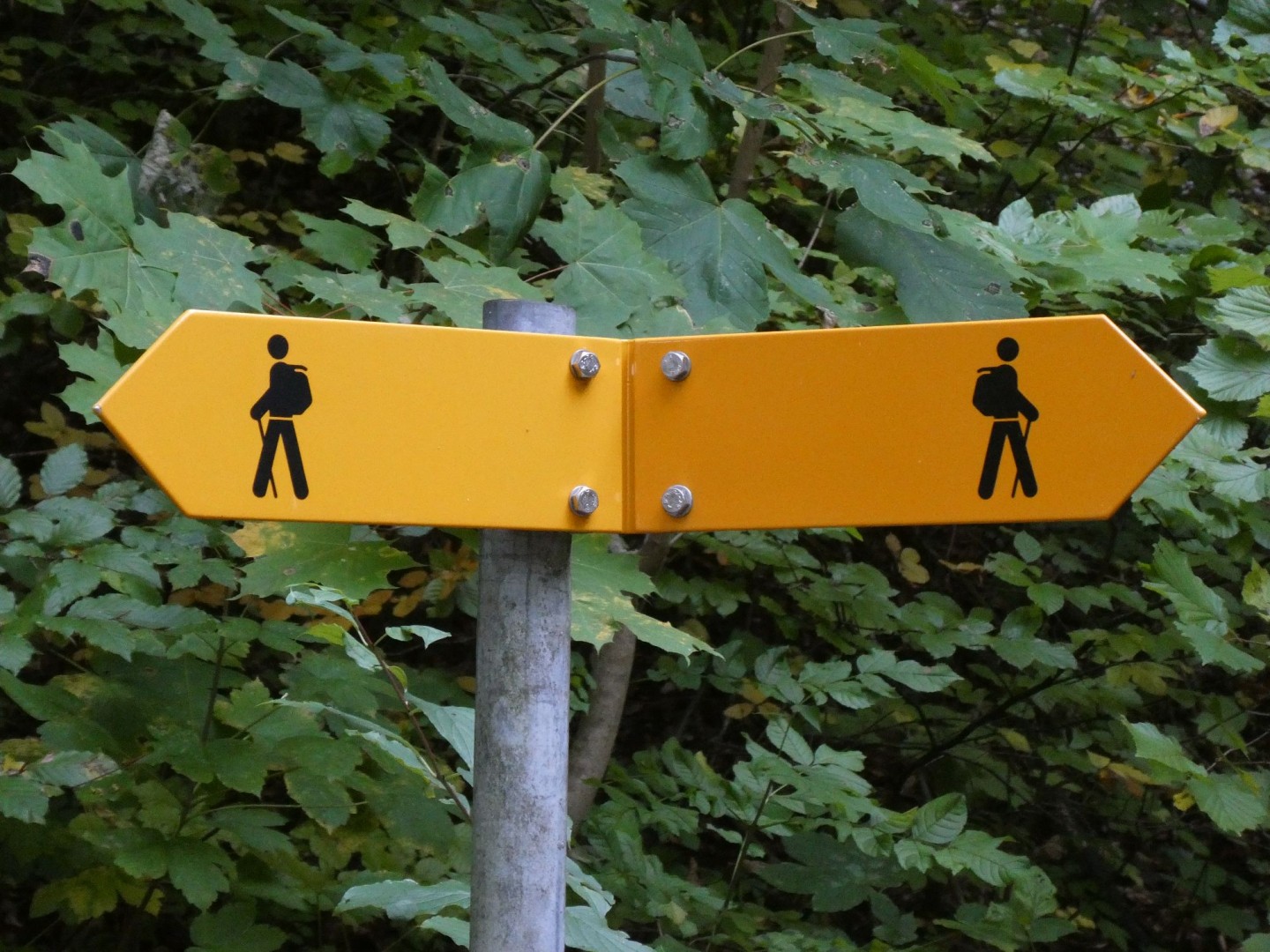 Auswahl Foto-Hintergrund - 58452