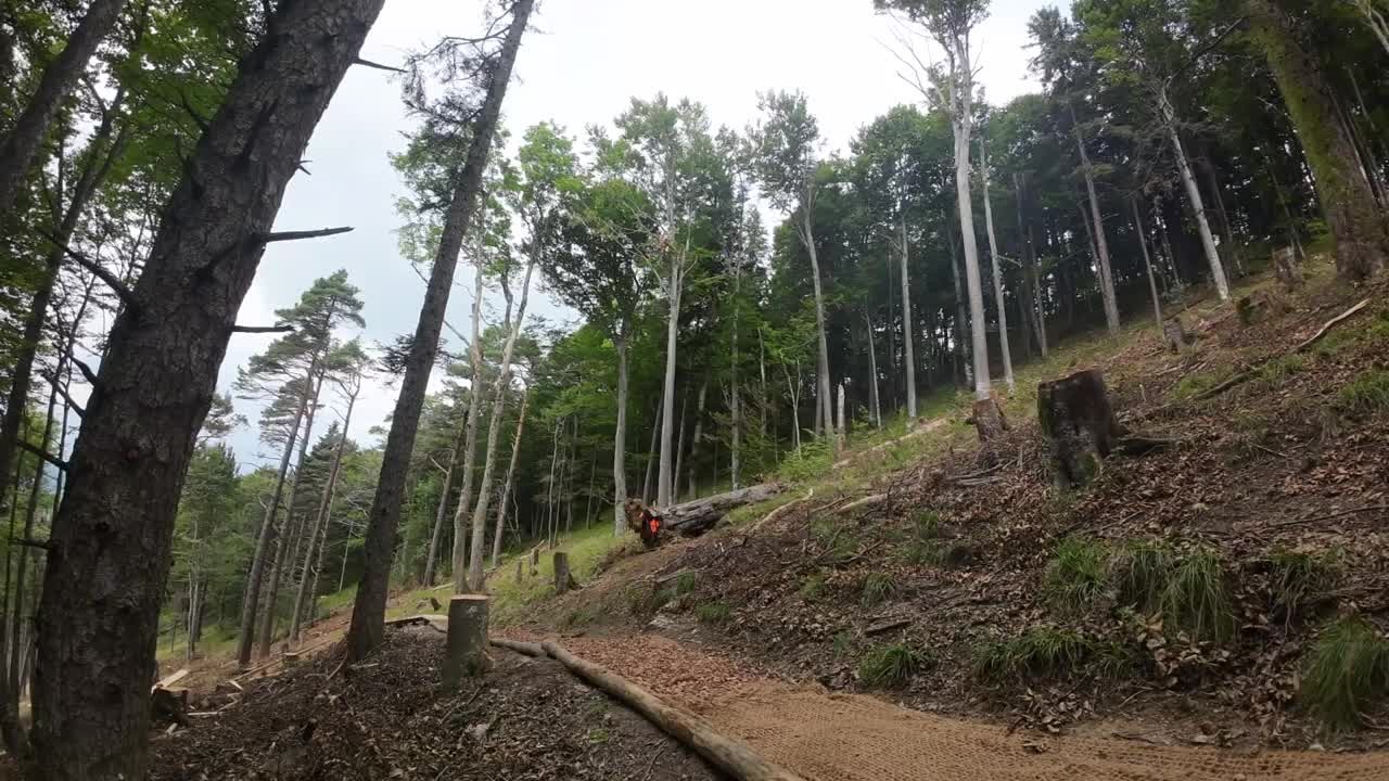 WhatsApp Video 2025-09-05 at 08