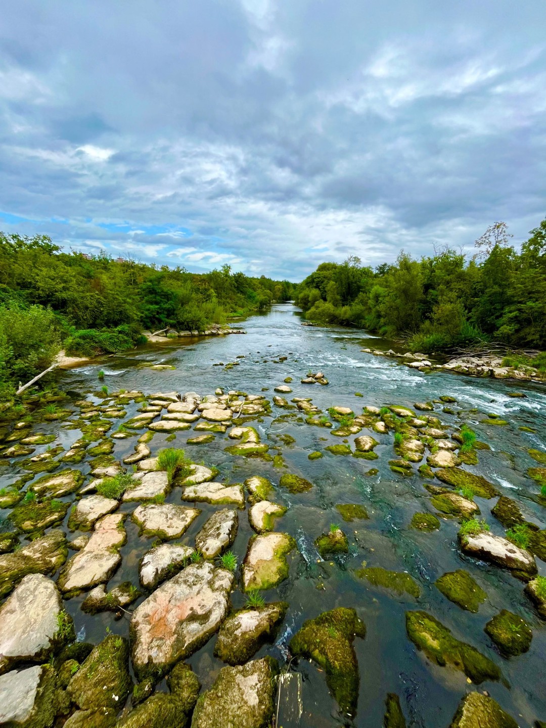 Familienwanderung Birs 2024 - 134632