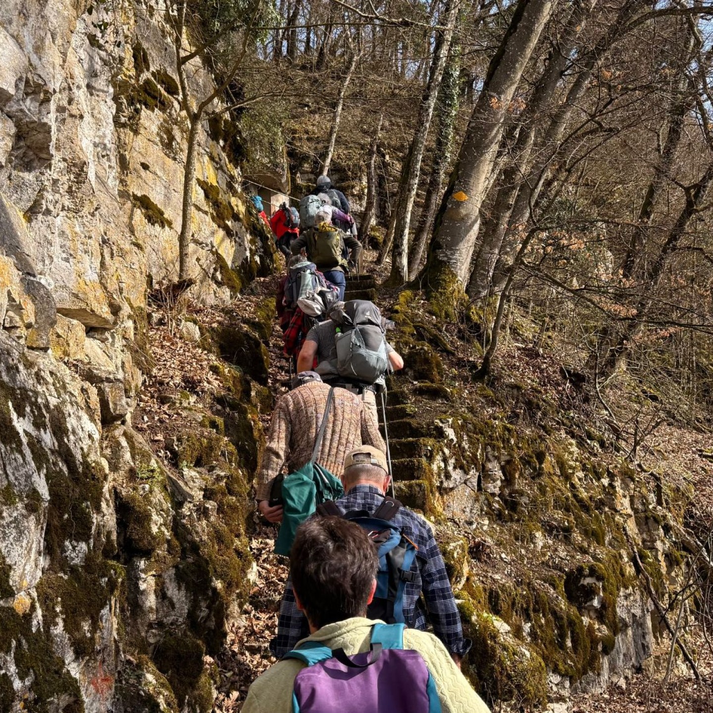 2_Aufstieg zur Burgstelle Besserstein