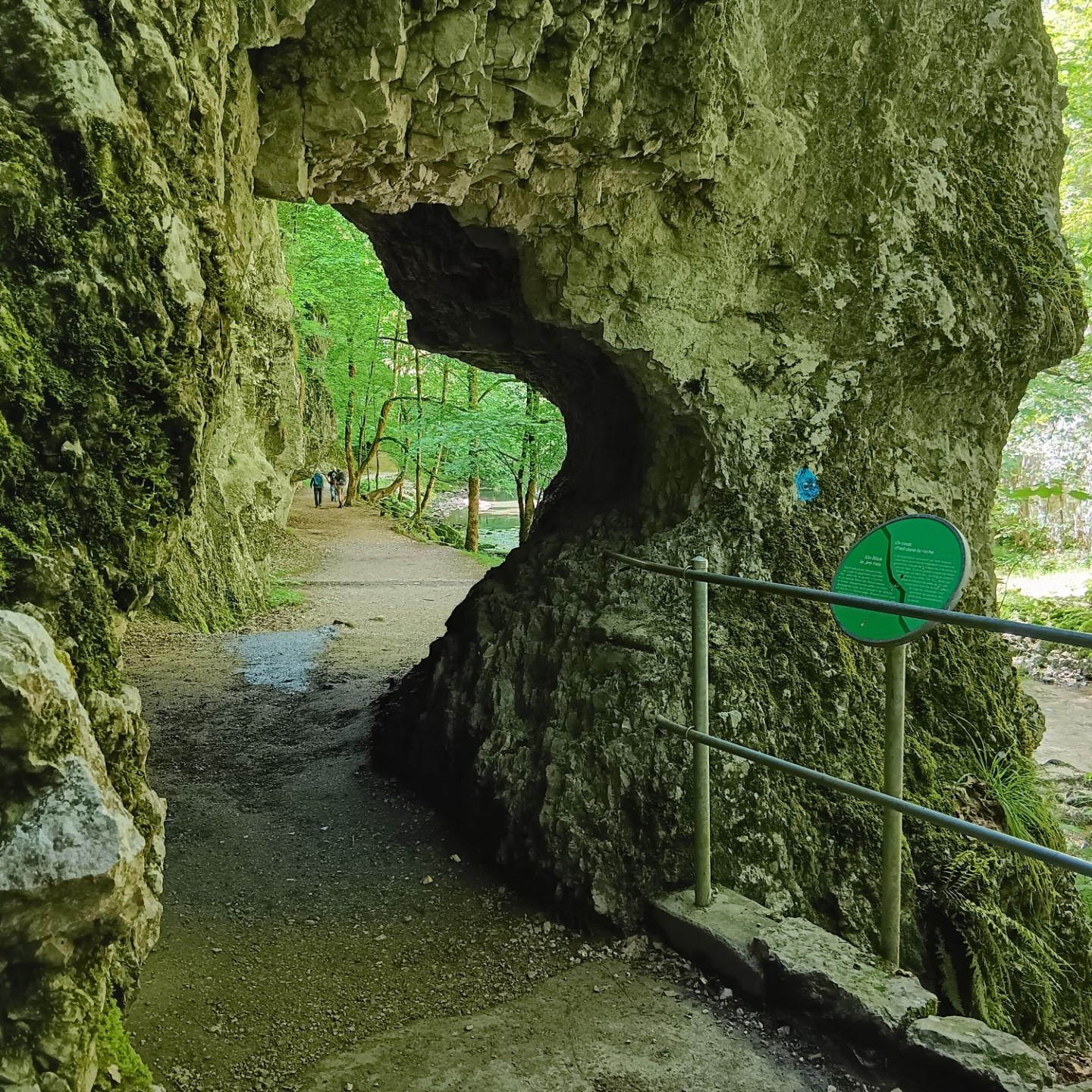 2026-Bözingerberg-09