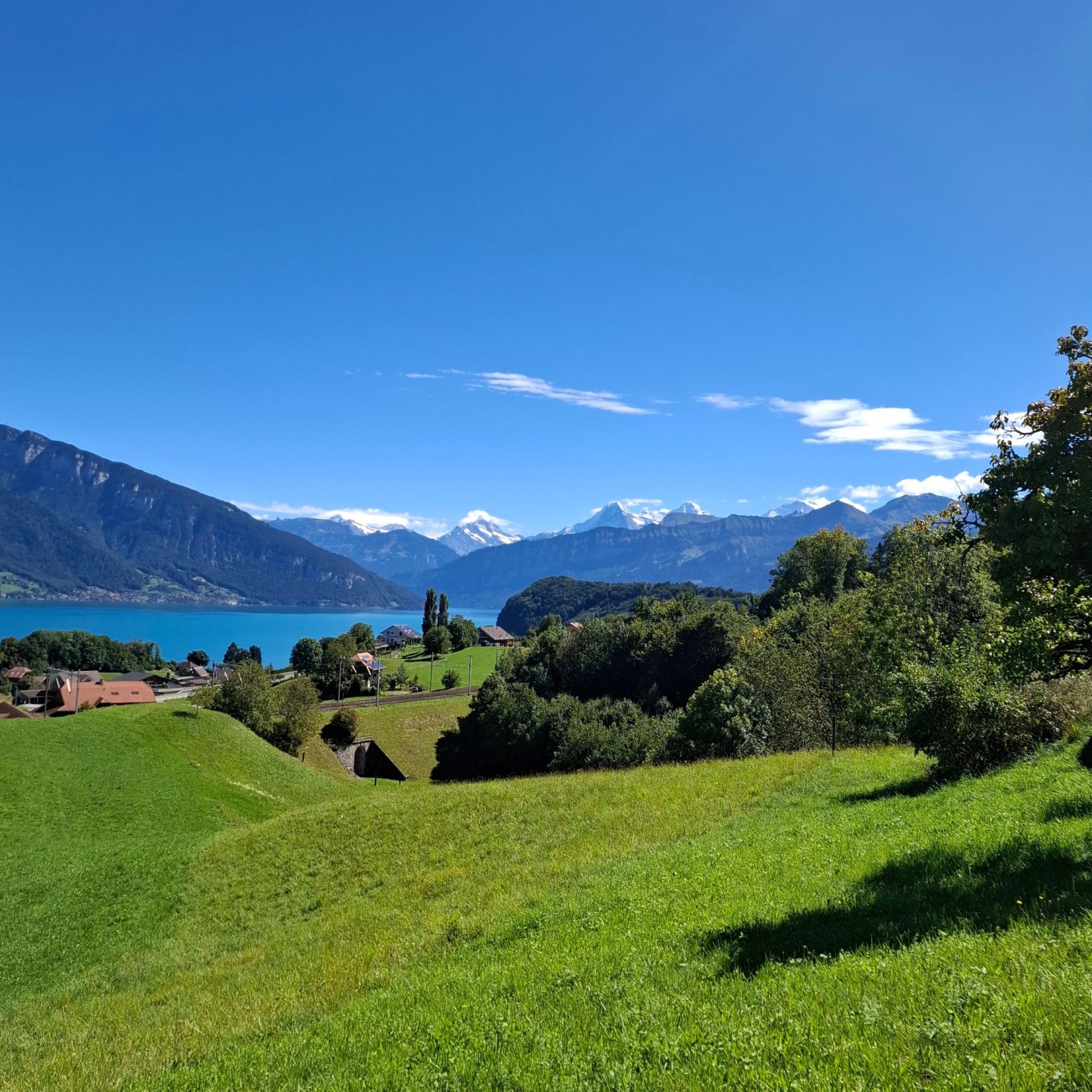 Uferwanderung Thunersee5